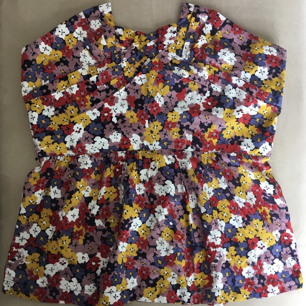 Anthropologie “Wildflowers in Flight Bustier” top